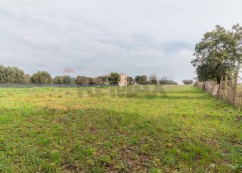 Giardino - Semi-detached house str.Del Corbezzolo
7, Montalto di Castro - photo 4