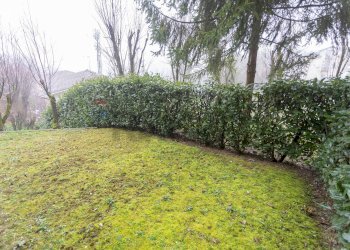 Giardino - Bilocale Via Don Alberto Carozza
 
5, Salsomaggiore Terme - foto 14