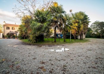 Giardino - Locale Commerciale Campodarsego - foto 4