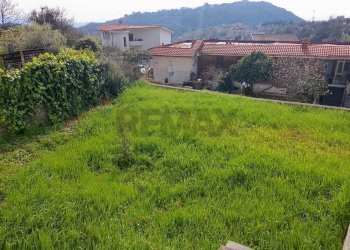 Giardino - Villa a Schiera Sessa Aurunca - foto 9