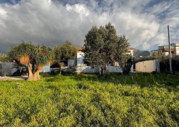 Giardino - Villa Via Vito Cavataio, Terrasini - photo 23