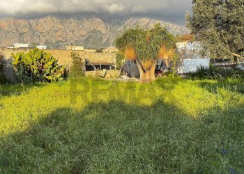 Giardino - Villa Via Vito Cavataio, Terrasini - photo 25