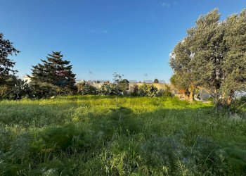 Giardino - Villa Via Vito Cavataio, Terrasini - photo 26