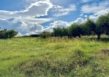 Giardino - Building land Via Nasuti, Città Sant'Angelo - photo 3
