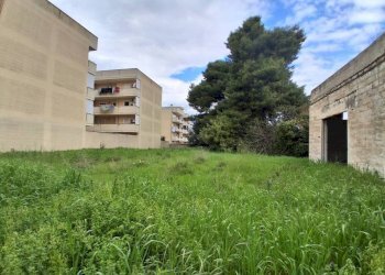 Terreno - Terreno edificabile corso Umberto, Carosino - foto 4