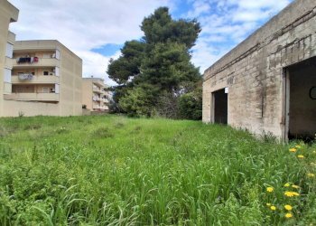 Terreno - Terreno edificabile corso Umberto, Carosino - foto 5