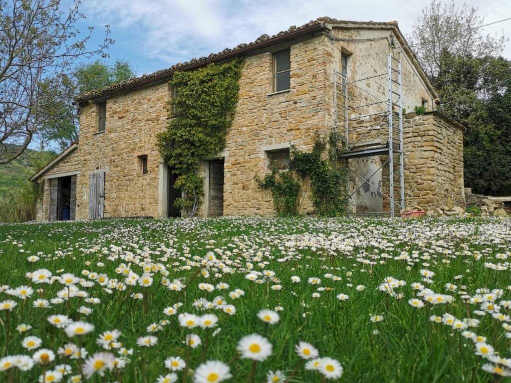 Facciata - Rustic Località San Giovanni, Serra San Quirico - photo 3