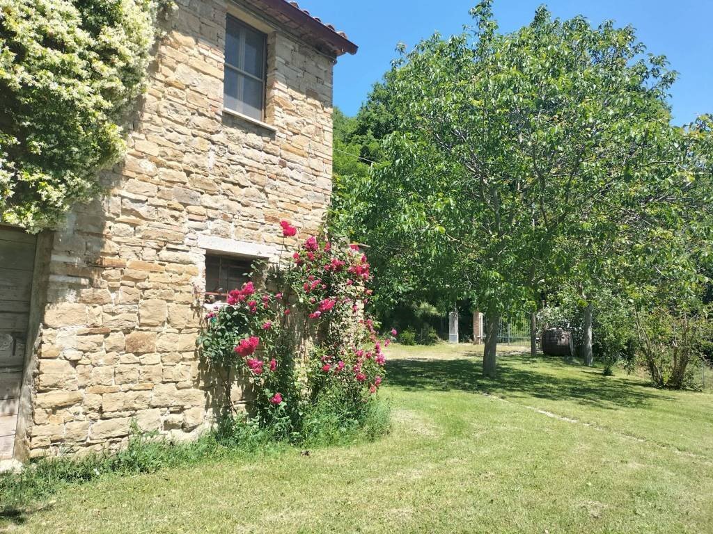 Giardino - Rustic Località San Giovanni, Serra San Quirico - photo 1