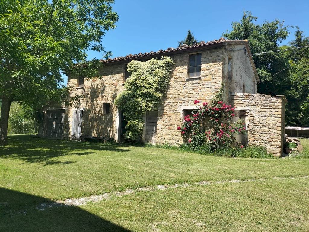 Terreno - Rustic Località San Giovanni, Serra San Quirico - photo 2