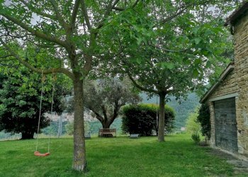 Giardino - Rustico Località San Giovanni, Serra San Quirico - foto 11