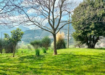 Terreno - Rustico Località San Giovanni, Serra San Quirico - foto 12