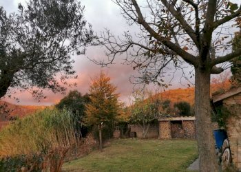 Terreno - Rustico Località San Giovanni, Serra San Quirico - foto 13