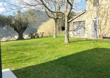 Terreno - Rustico Località San Giovanni, Serra San Quirico - foto 14