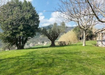 Terreno - Rustic Località San Giovanni, Serra San Quirico - photo 9