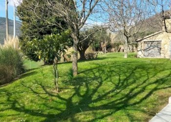 Terreno - Rustic Località San Giovanni, Serra San Quirico - photo 12