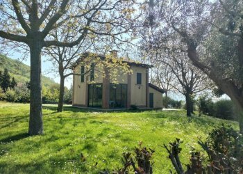 Giardino - Rustic Località San Giovanni, Serra San Quirico - photo 45