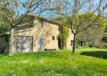 Terreno - Rustic Località San Giovanni, Serra San Quirico - photo 49