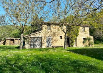 Terreno - Rustic Località San Giovanni, Serra San Quirico - photo 1