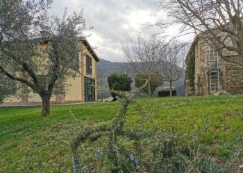 Terreno - Rustic Località San Giovanni, Serra San Quirico - photo 11
