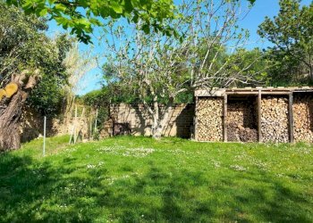 Terreno - Rustic Località San Giovanni, Serra San Quirico - photo 44