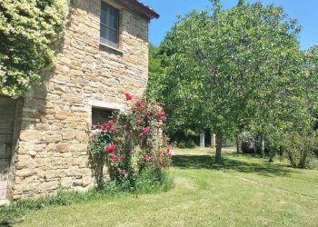 Giardino - Rustico Località San Giovanni, Serra San Quirico - foto 1