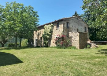 Terreno - Rustico Località San Giovanni, Serra San Quirico - foto 4