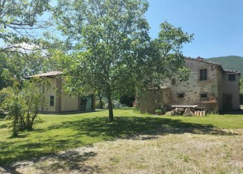 Giardino - Rustico Località San Giovanni, Serra San Quirico - foto 21