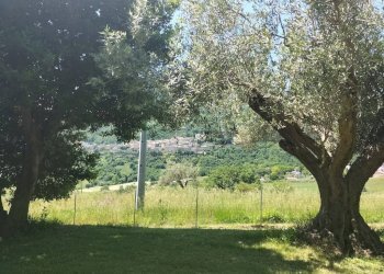 Terreno - Rustico Località San Giovanni, Serra San Quirico - foto 22