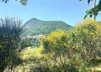 Vista - Rustico Località San Giovanni, Serra San Quirico - foto 26