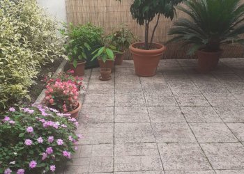 Foto 5 - Quadrilocale STRADA MARTIRI DELLA LIBERTÀ, Sorbolo Mezzani - foto 5