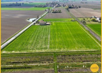 Foto 8 - Terreno agricolo via canale
 
10, Molinella - foto 8