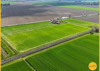 Foto 10 - Terreno agricolo via canale
 
10, Molinella - foto 10