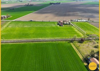 Foto 11 - Terreno agricolo via canale
 
10, Molinella - foto 11