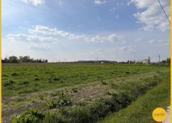 Foto 19 - Terreno agricolo via canale
 
10, Molinella - foto 19