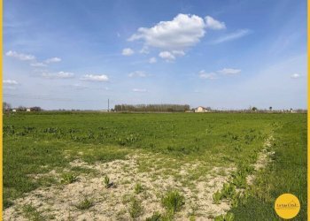 Foto 20 - Terreno agricolo via canale
 
10, Molinella - foto 20