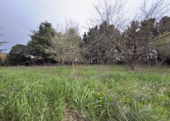 Foto 26 - Villa Strada del Campo
 
6, Vetralla - foto 26