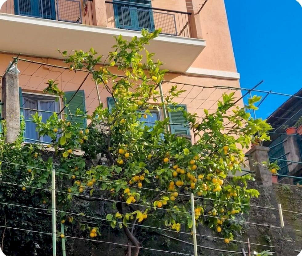 Foto 2 - Semi-detached house Via Borzoli
 
19, Genova - photo 2