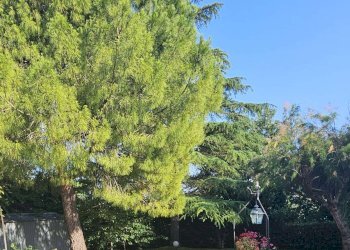 img-20250626-wa0000 - Rustico Offagna - foto 27