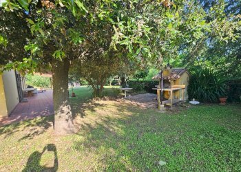 img-20250619-wa0044 - Rustico Offagna - foto 28