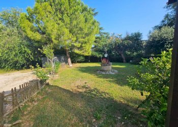 img-20250619-wa0057 - Rustico Offagna - foto 29