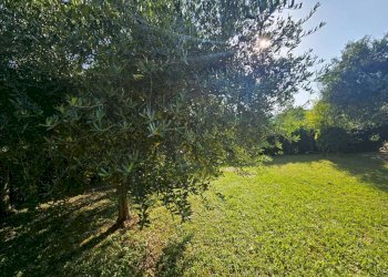 img-20250619-wa0046 - Rustico Offagna - foto 30