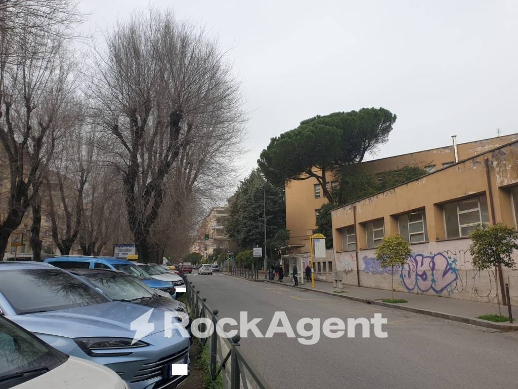 Zona - Alimentari - Gastronomia Roma - foto 3