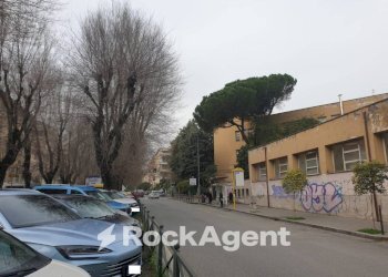 Zona - Food - Gastronomy Roma - photo 3