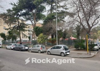 Zona - Food - Gastronomy Roma - photo 4