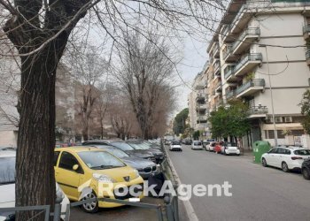 Zona - Food - Gastronomy Roma - photo 7