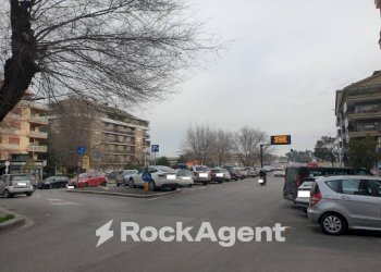 Zona - Food - Gastronomy Roma - photo 8