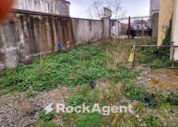 Giardino - Terreno agricolo via Ettore Vitale, Catanzaro - foto 2