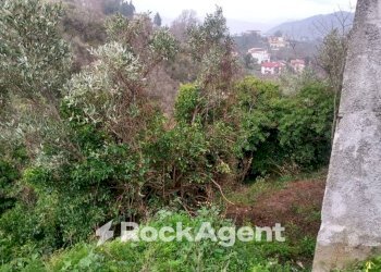 Terreno - Terreno agricolo via Ettore Vitale, Catanzaro - foto 12