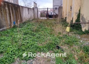 Giardino - Terreno agricolo via Ettore Vitale, Catanzaro - foto 15