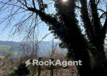 Vista - Rustic strada Cattabiano, Langhirano - photo 8